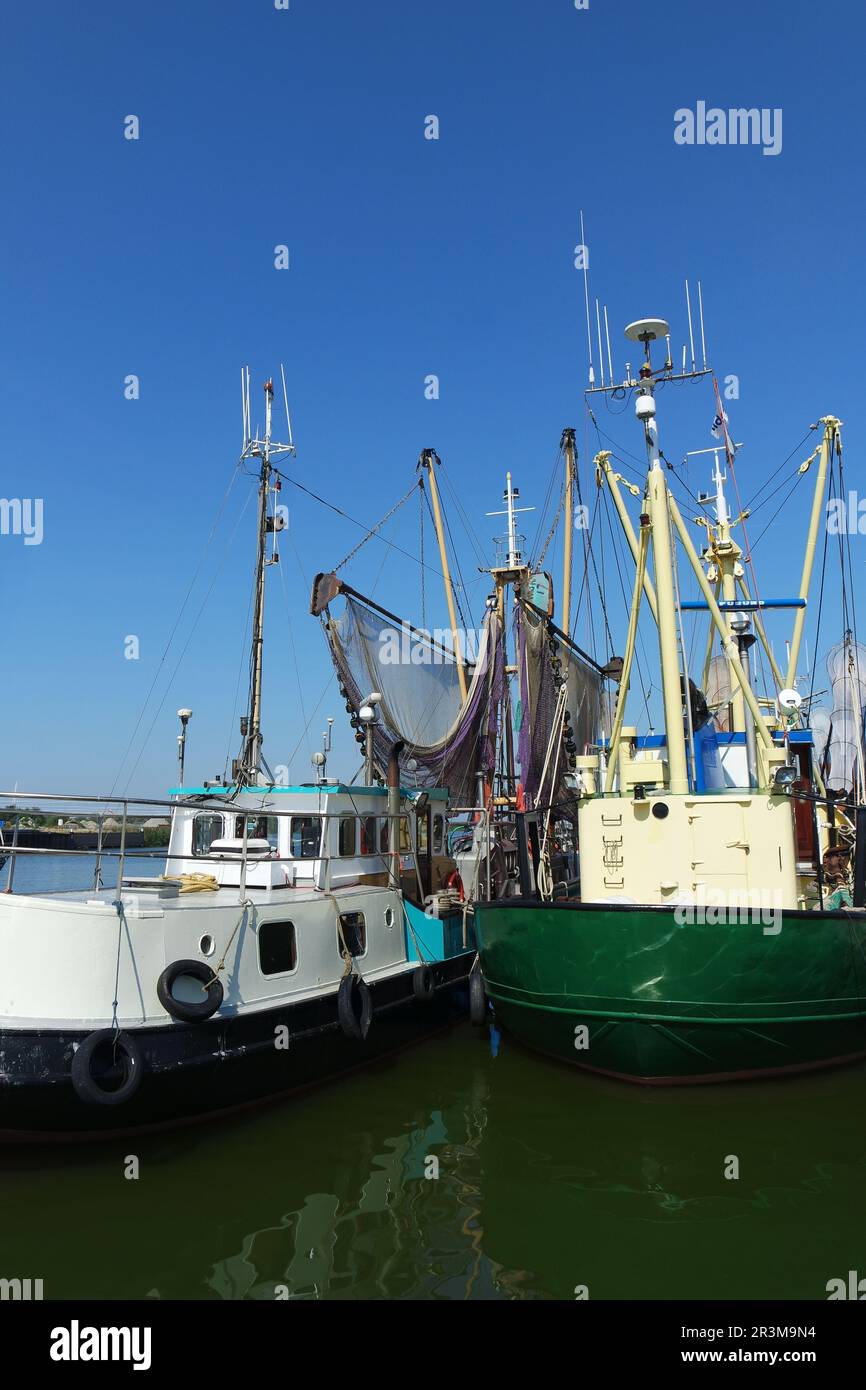 Chalutier de pêche à Makkum sur l'Ijsselmeer Banque D'Images