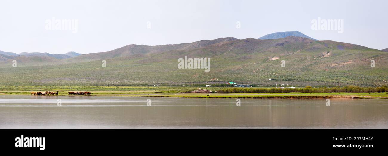 Rivière dans les steppes de Mongolie dans la province de Bulgan. Banque D'Images