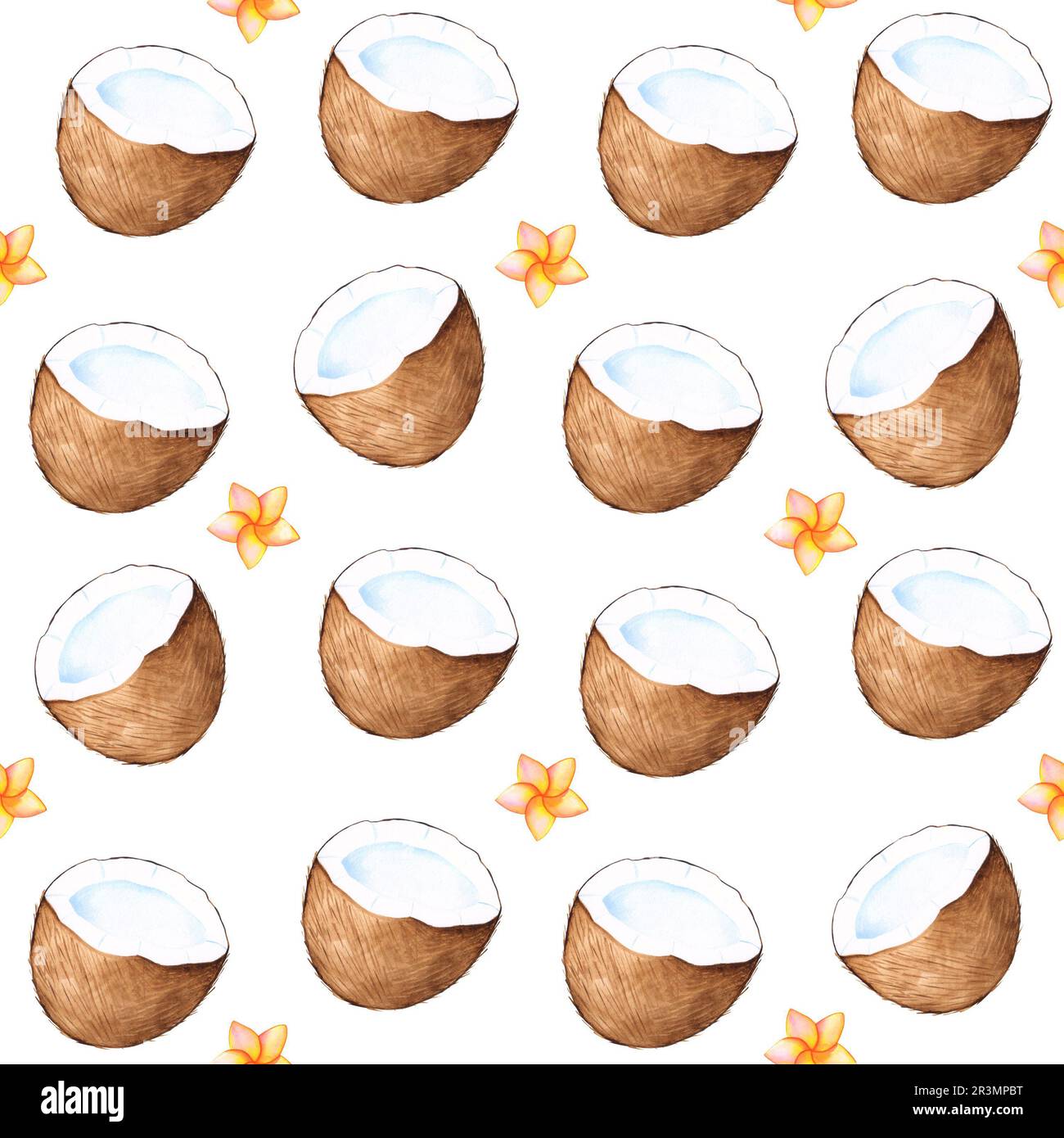 Motif tropical sans couture avec noix de coco et fleurs tropicales sur fond blanc. Illustration aquarelle dessinée à la main. Peut être utilisé pour la conception, le tissu Banque D'Images