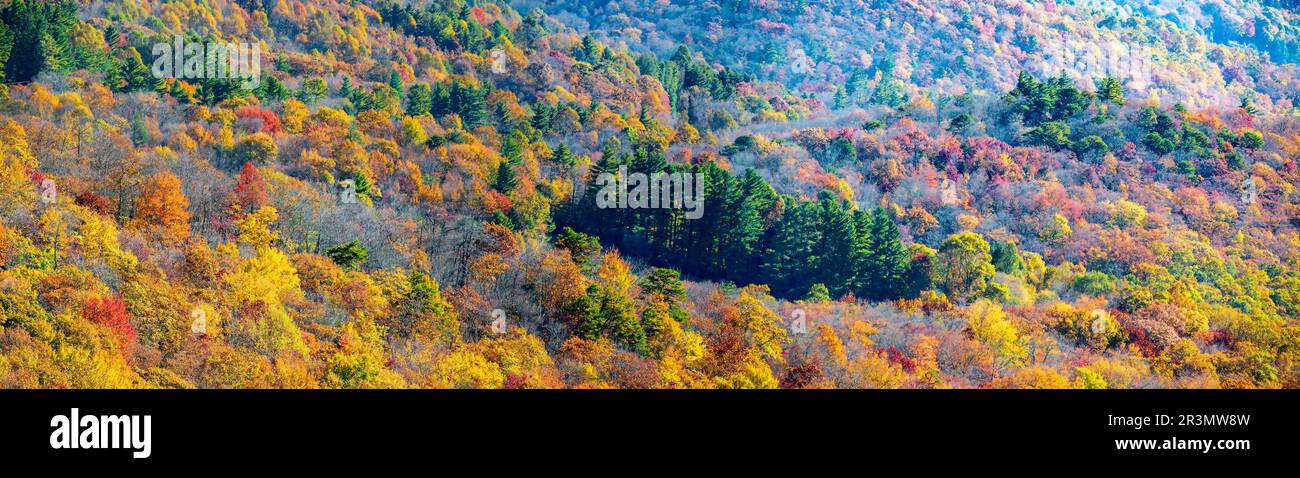 Blue Ridge Mountains en automne en Caroline du Nord Banque D'Images