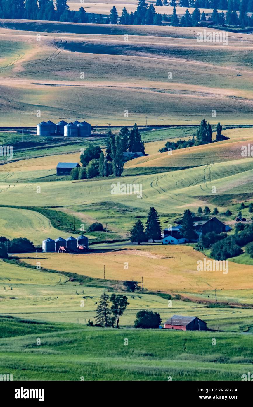 Scènes de paysage à palouse washington Banque D'Images