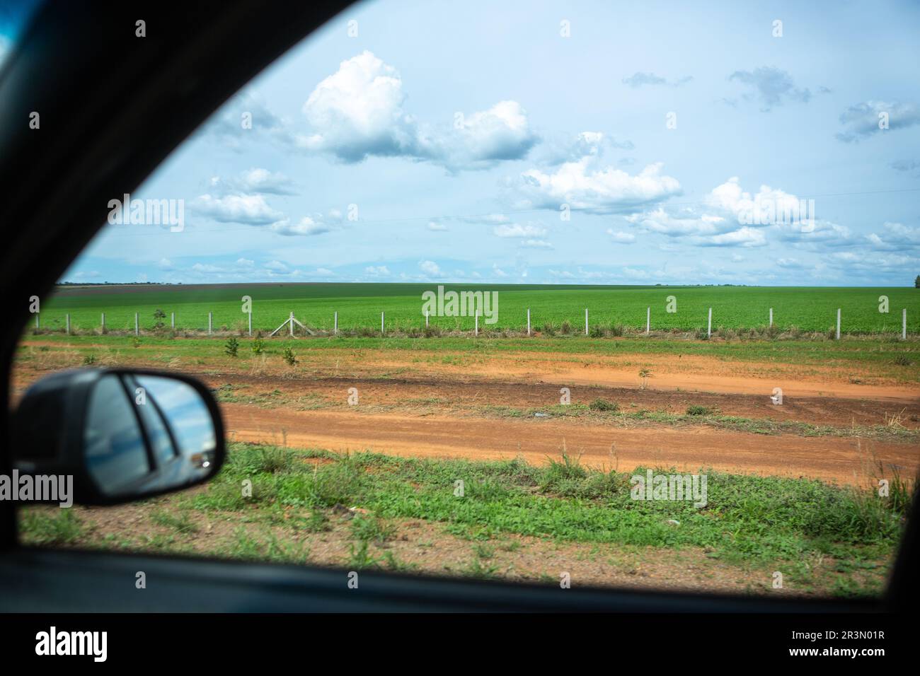 Belle vue de l'agriculture de soja par la fenêtre de voiture sur la route BR-163, Mato Grosso, Brésil. Concept d'agriculture, de voyage, de conduite, de transport. Banque D'Images