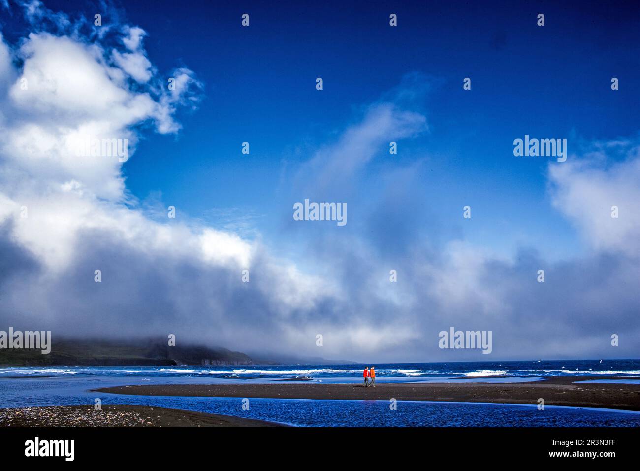 Promenade sur la plage dans l'est de l'Islande. Bleu océan Atlantique, plage de sable noir et ciel bleu. Banque D'Images