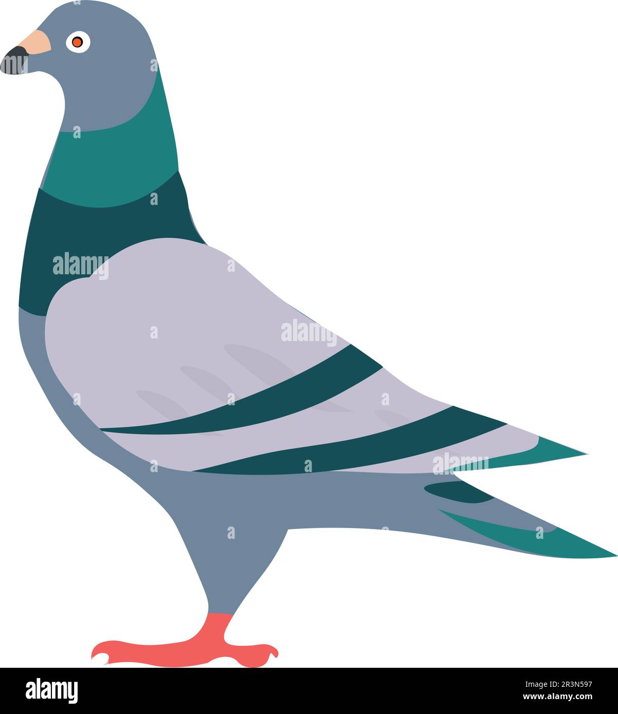 conception vectorielle de pigeon coloré Illustration de Vecteur