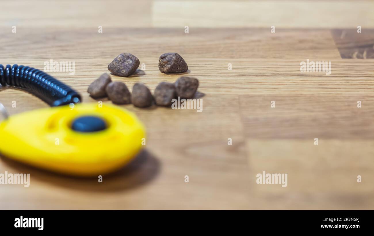 Un ticker d'entraînement de chien jaune avec kibble à traiter disposé dans un visage smiley Banque D'Images
