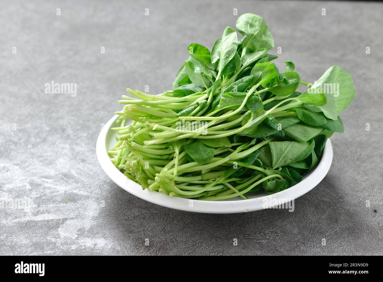 Pak choi - tige verte Shanghai Type, Bok Chooy frais ou Pak Choi (chou chinois) dans Blow, Brassica chinensis Banque D'Images