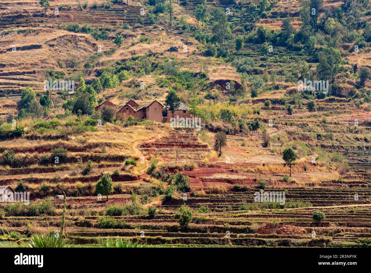 Paysage du centre de Madagascar - Betafo, Vakinancaratra Madagascar Banque D'Images