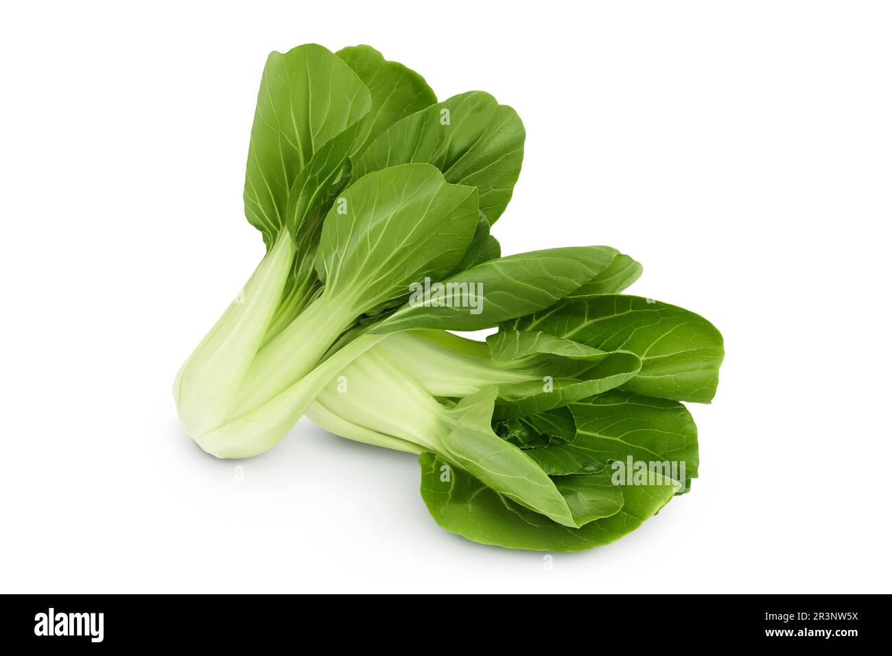 Chou frais pak choi isolé sur fond blanc avec une profondeur de champ totale Banque D'Images