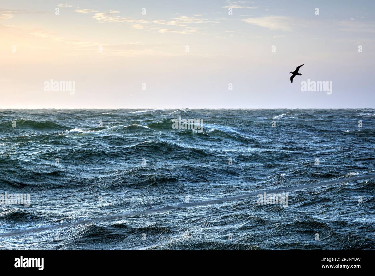 Mer de tempête dans le passage de Drake Banque D'Images