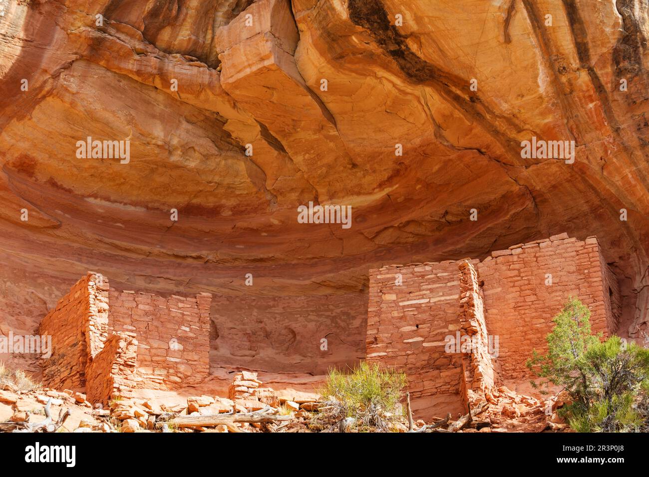 Canyon des anciens Banque D'Images