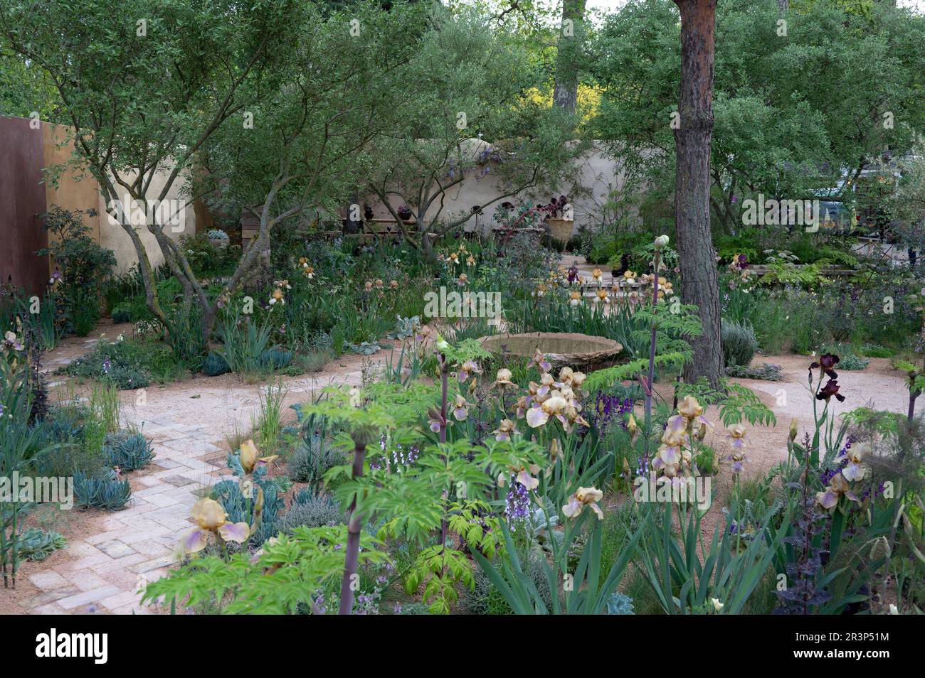 Royal Hospital Chelsea, Londres, Royaume-Uni. 22 mai 2023. Le jardin des paysages de la culture, le jardin du spectacle. Concepteur : Sarah Price. L'atmosphère et l'inspiration du jardin ont été tirées des peintures de Cedric Morris et des plantes recueillies et produites par Cedric dans son jardin à Benton End, Hadleigh. Cedric est devenu célèbre pour la reproduction et la peinture de l'iris barbu, cultivant environ 1000 nouveaux semis chaque année et produisant au moins 90 variétés nommées. Crédit : Malcolm Park/Alay Live News Banque D'Images
