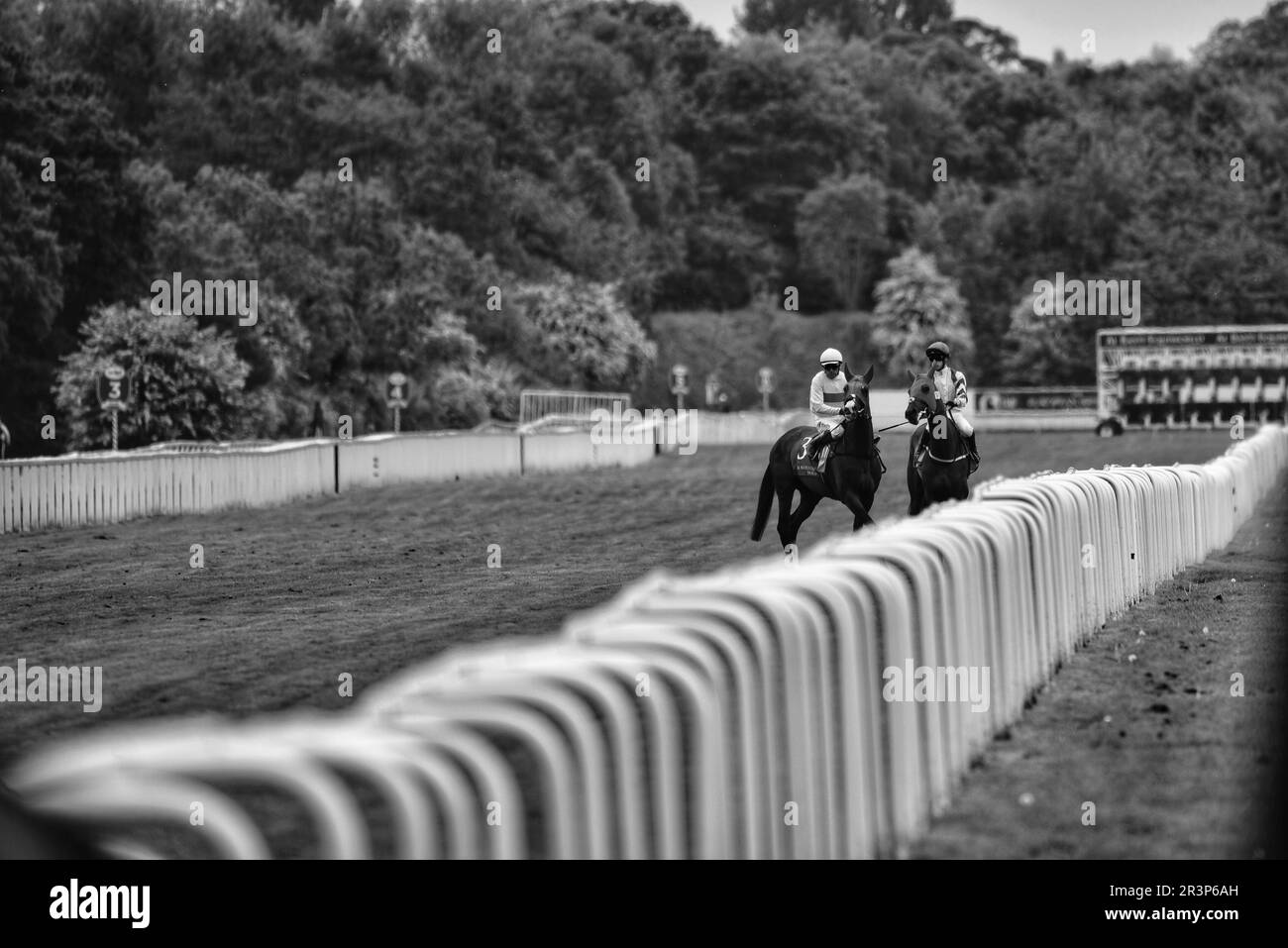 Frankie Dettori et Sam James avant la course au Dante Festival 2023 Banque D'Images