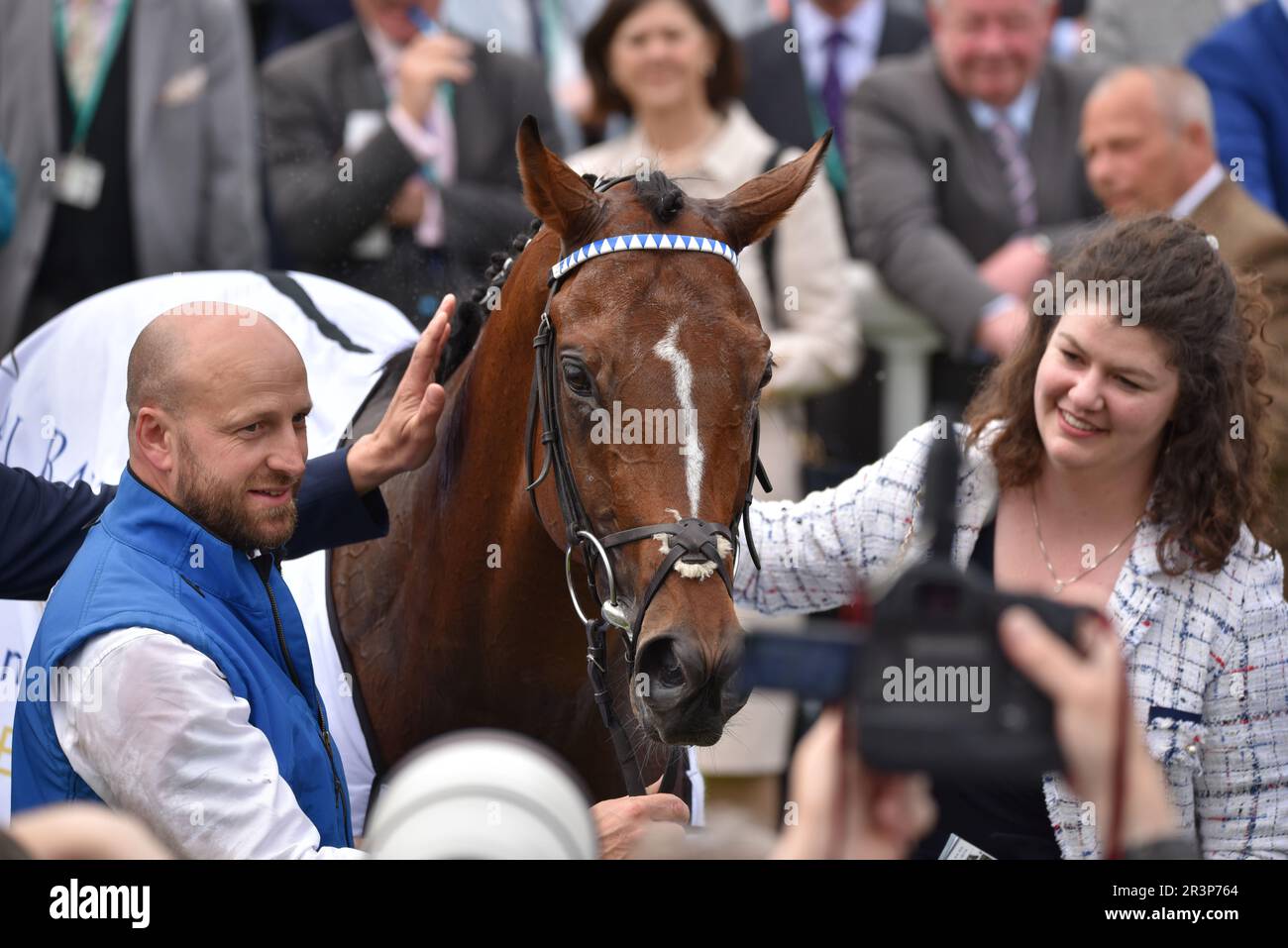 Les renards ont remporté les enjeux Al Basti Equiworld Dubai Dante Banque D'Images