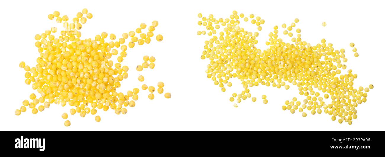 Millet isolé sur fond blanc. Vue d'en haut Banque D'Images