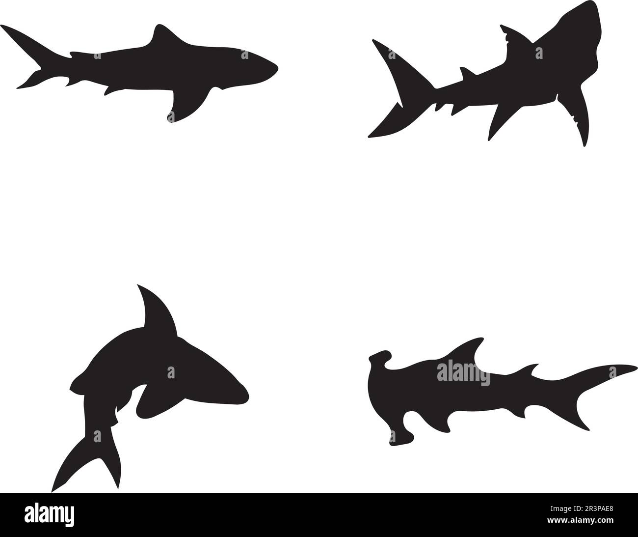 Logo requin modèle et design vecteur poisson sauvage mer animal Illustration de Vecteur