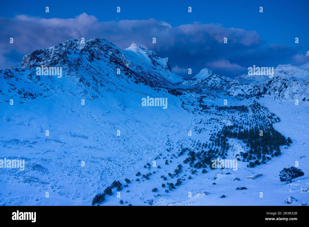 Puig Major (Puig Mayor) punto más elevado de la isla de Mallorca, 1445 metros de altitud, Sierra de Tramuntana, municipio de Escorca, Mallorca, Iles baléares, espagne, europe. Banque D'Images