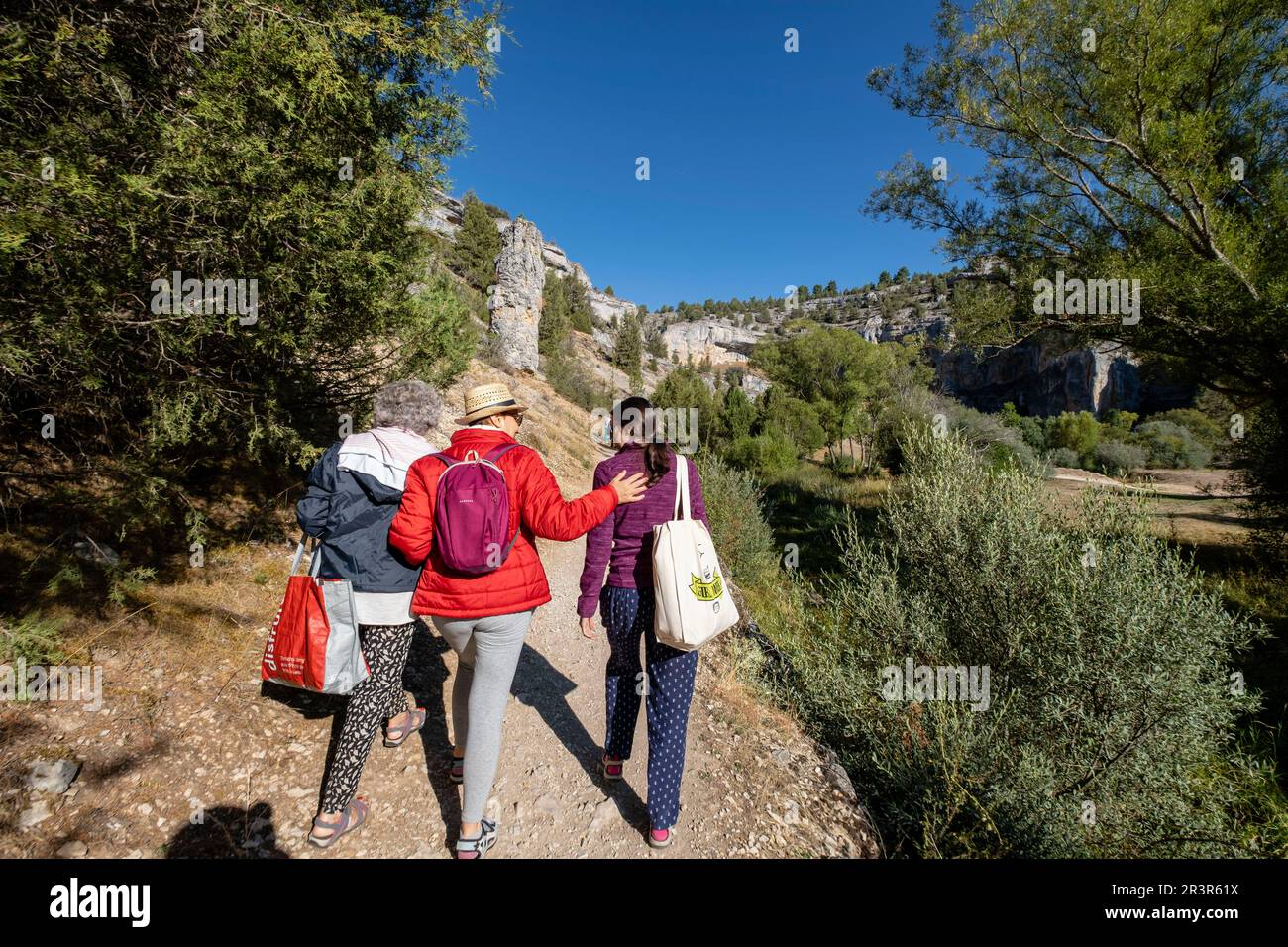 Parque Natural Del Cañón Del Río Lobos, Soria, Comunidad Autónoma De Castilla, Espagne, Europe. Banque D'Images