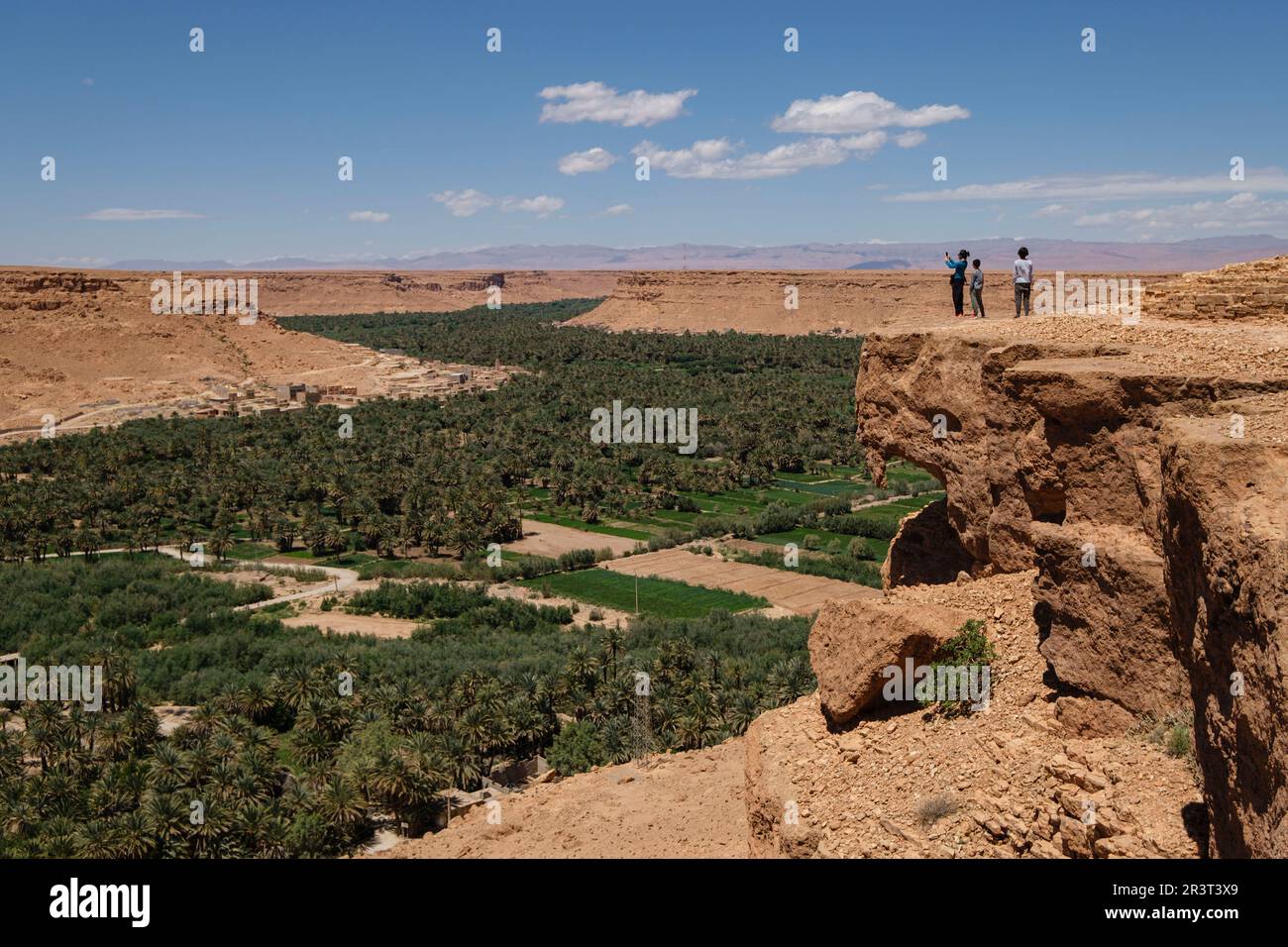 Palmeral de Tafilalet, Valle del río Ziz, Marruecos, Afrique. Banque D'Images