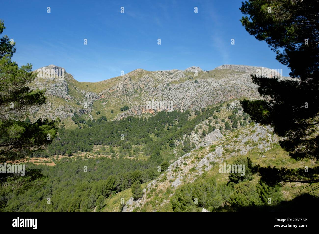Mola de sEsclop, 929 mts, y coma des Voltors, Finca Pública Galatzó, Calvia, Majorque, iles baléares, espagne, europe. Banque D'Images