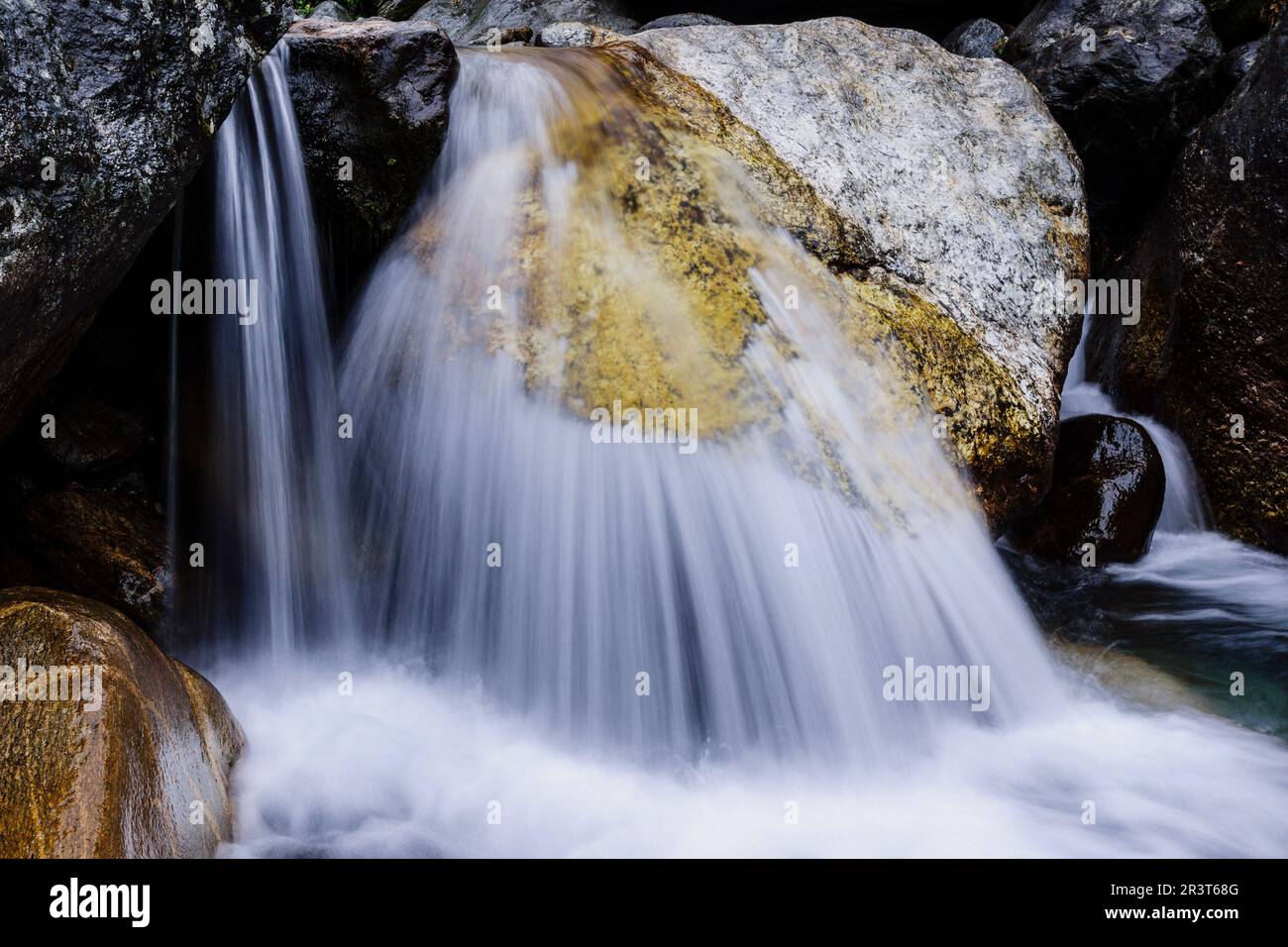 Toktok.Parc national de Sagarmatha, Khumbu Himal, Népal, Asie. Banque D'Images