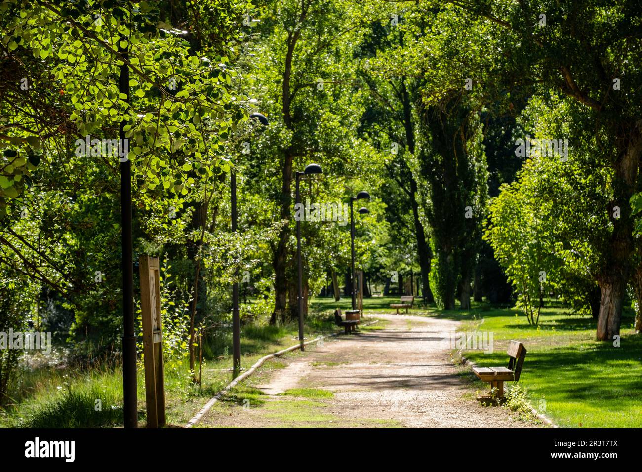 Parque de la Arboleda, Almazán, Soria, Comunidad Autónoma de Castilla y León, Espagne, Europe. Banque D'Images