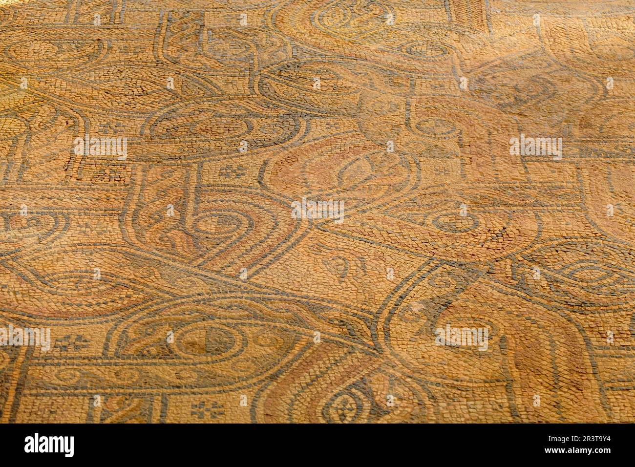 Basilique des Fornàs de Torelló, 5e et 6e siècles après J.-C., Maó, Minorque, Iles Baléares, Espagne. Banque D'Images Basilique des Fornàs de Torelló, 5e et 6e siècles après J.-C., Maó, Minorque, Iles Baléares, Espagne. Banque D'Images