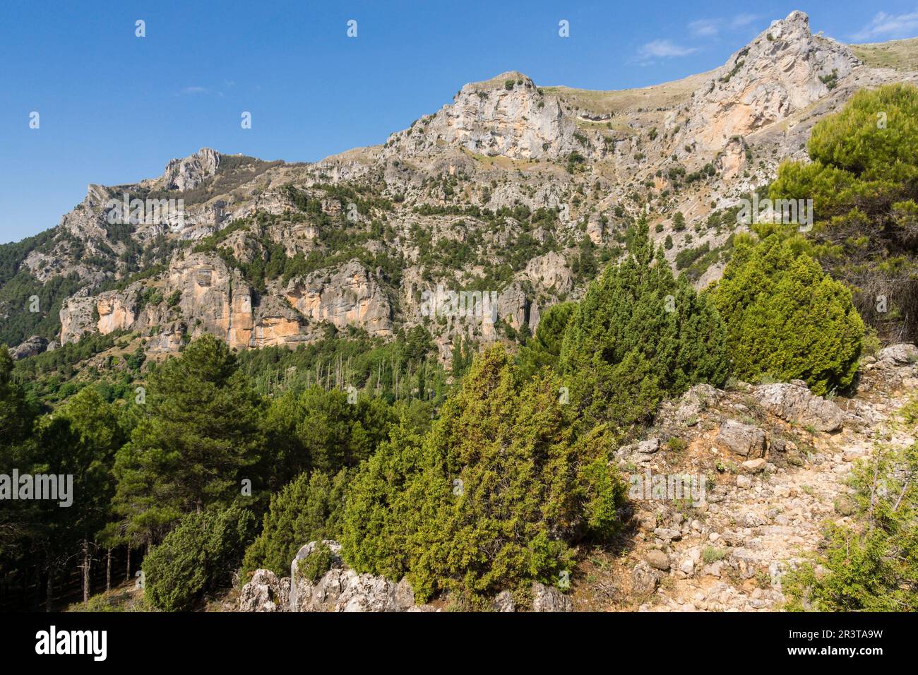 Loma del Calar de Cobo y Puntal de Misa, 1796 mètres, Parque Natural de las Sierras de Cazorla, Segura y Las Villas , provincia de Córdoba, Espagne. Banque D'Images