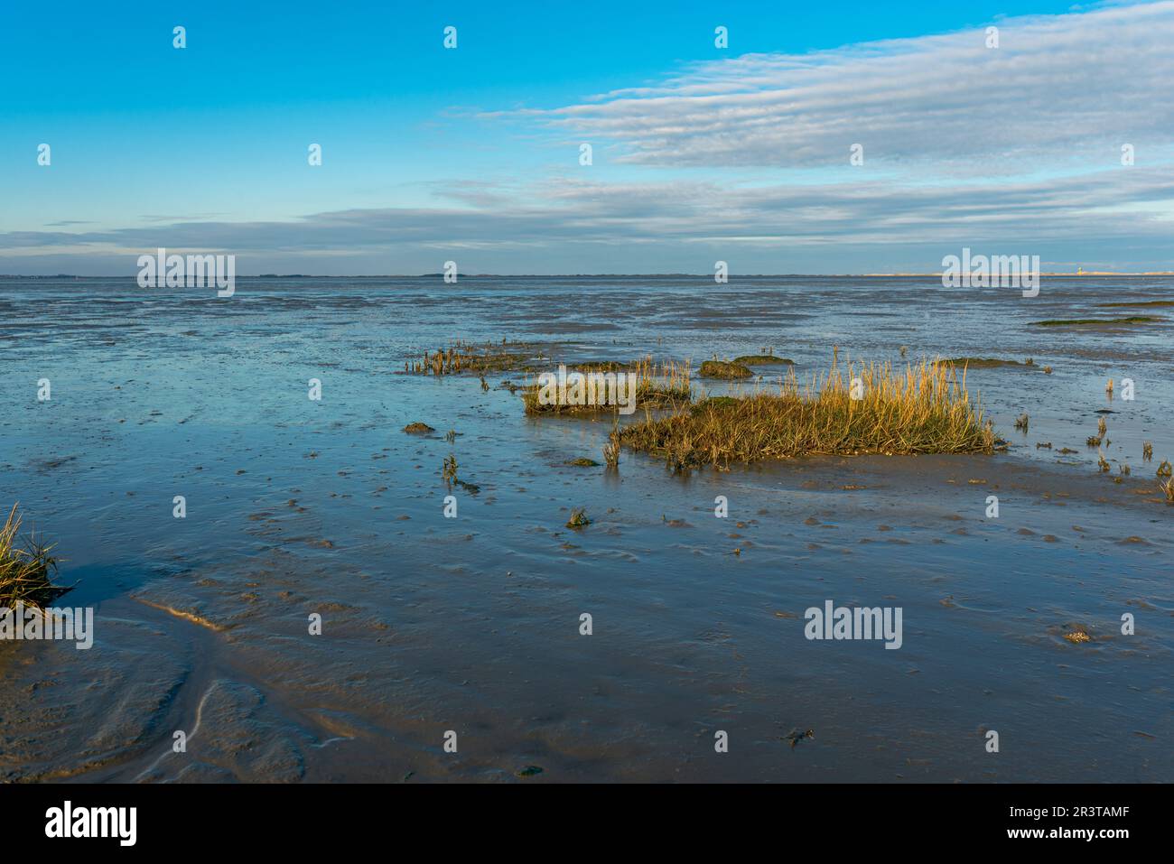 Marée basse dans la mer des Wadden près de Hilgenriedersiel sur la côte de la Mer du Nord de la Frise orientale Banque D'Images