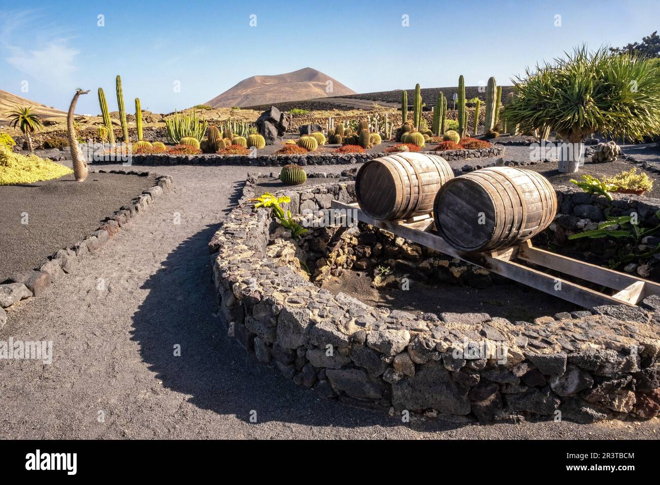 La cave de vinification El Grifo, la plus ancienne des îles Canaries, Lanzarote, Espagne Banque D'Images