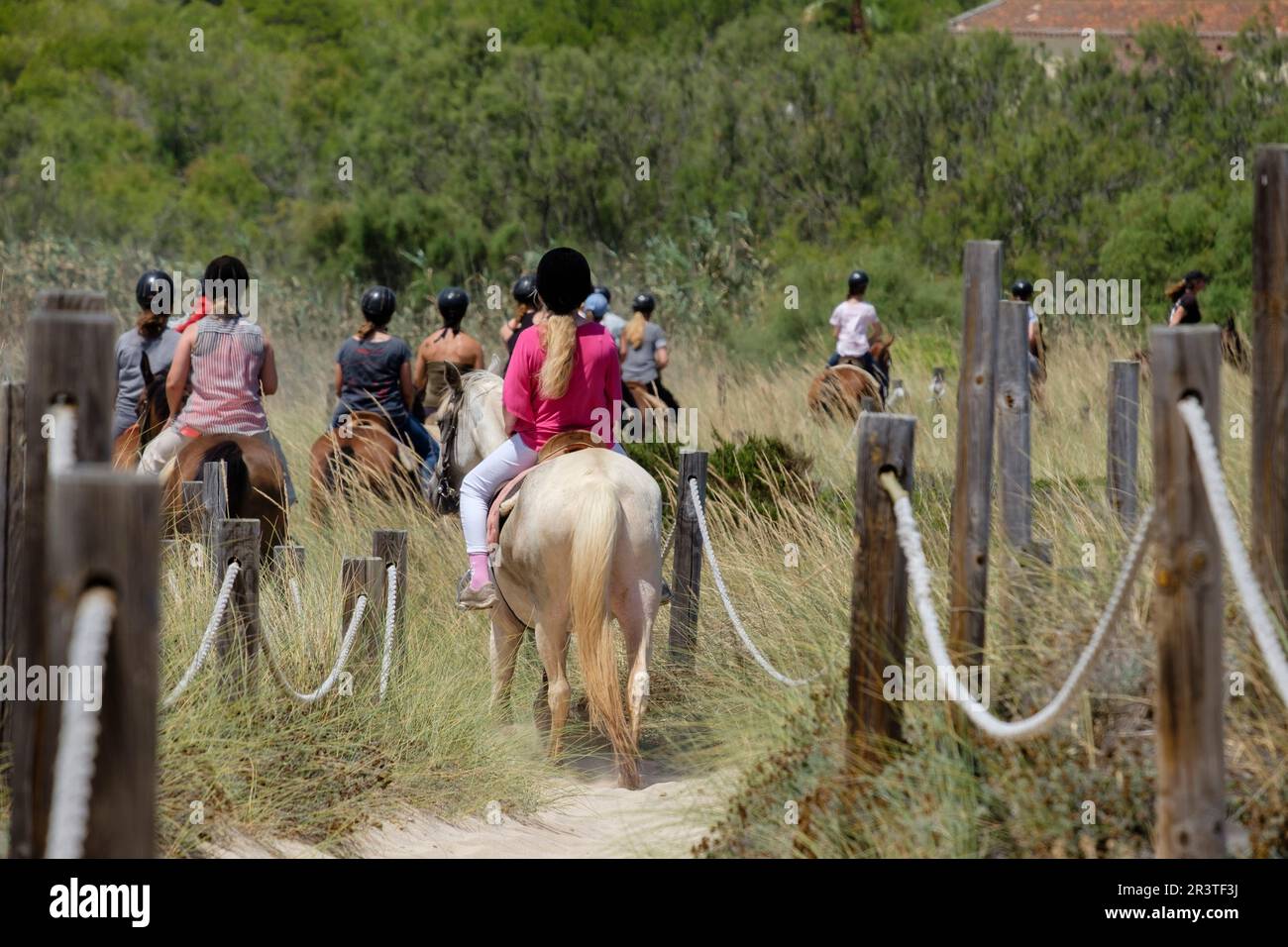 Équitation dans les dunes Banque D'Images