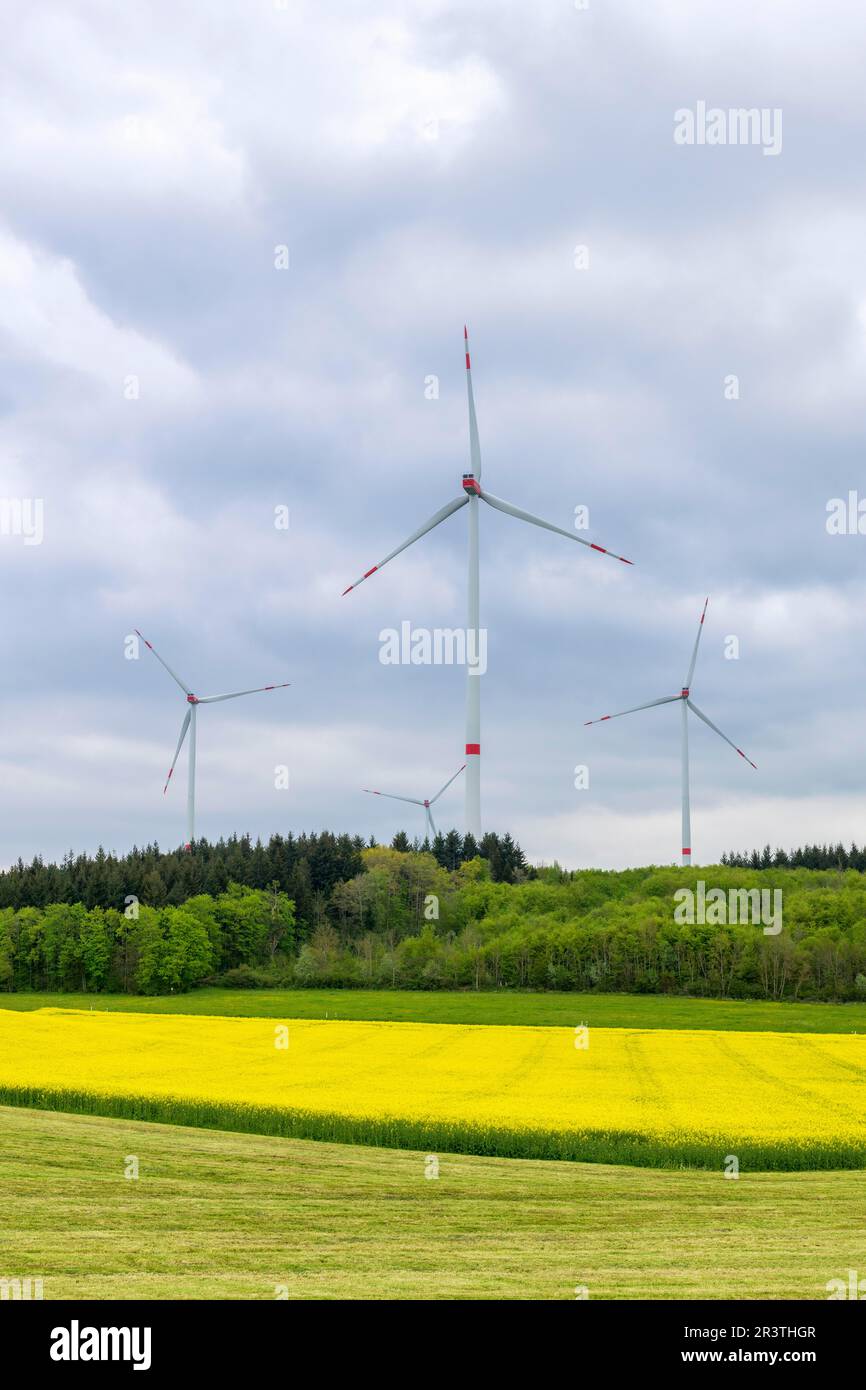 Ferme éolienne en face du ciel d'orage, éolienne, éolienne, pré, forêt