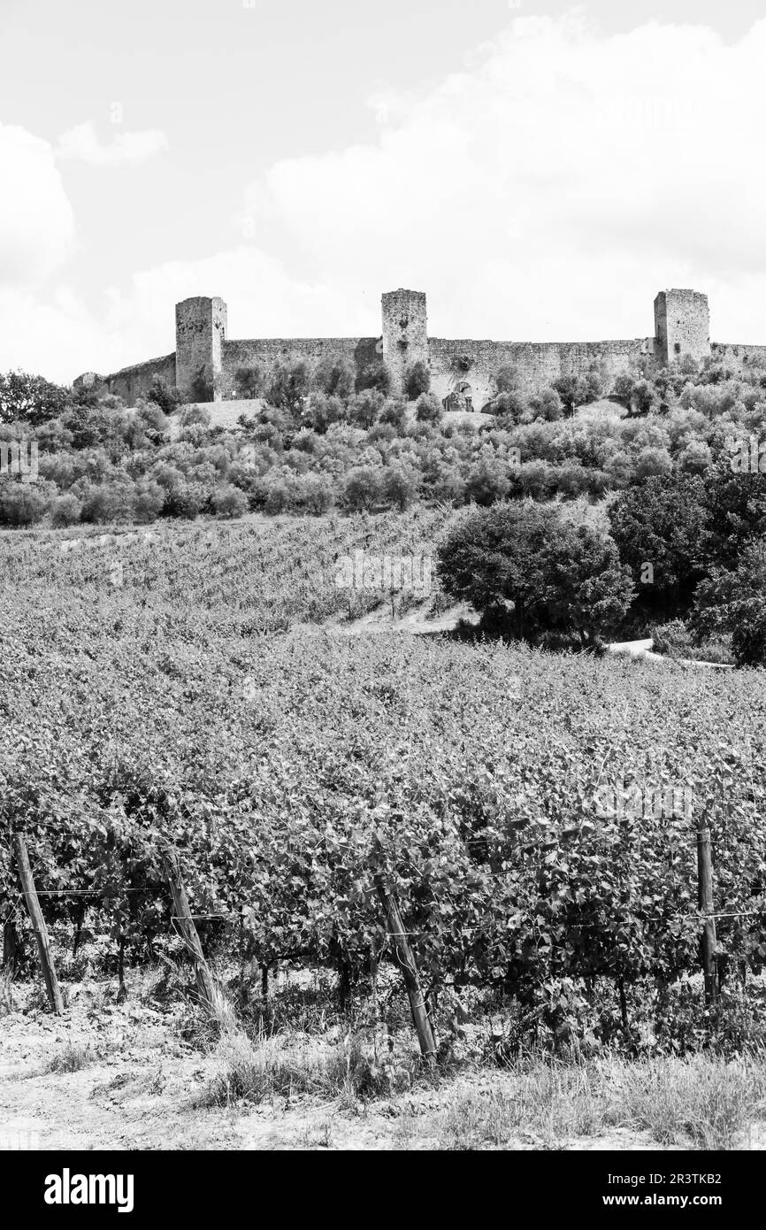 Monteriggioni, Toscane, Italie. Vigne en face de l'ancienne enceinte médiévale Banque D'Images