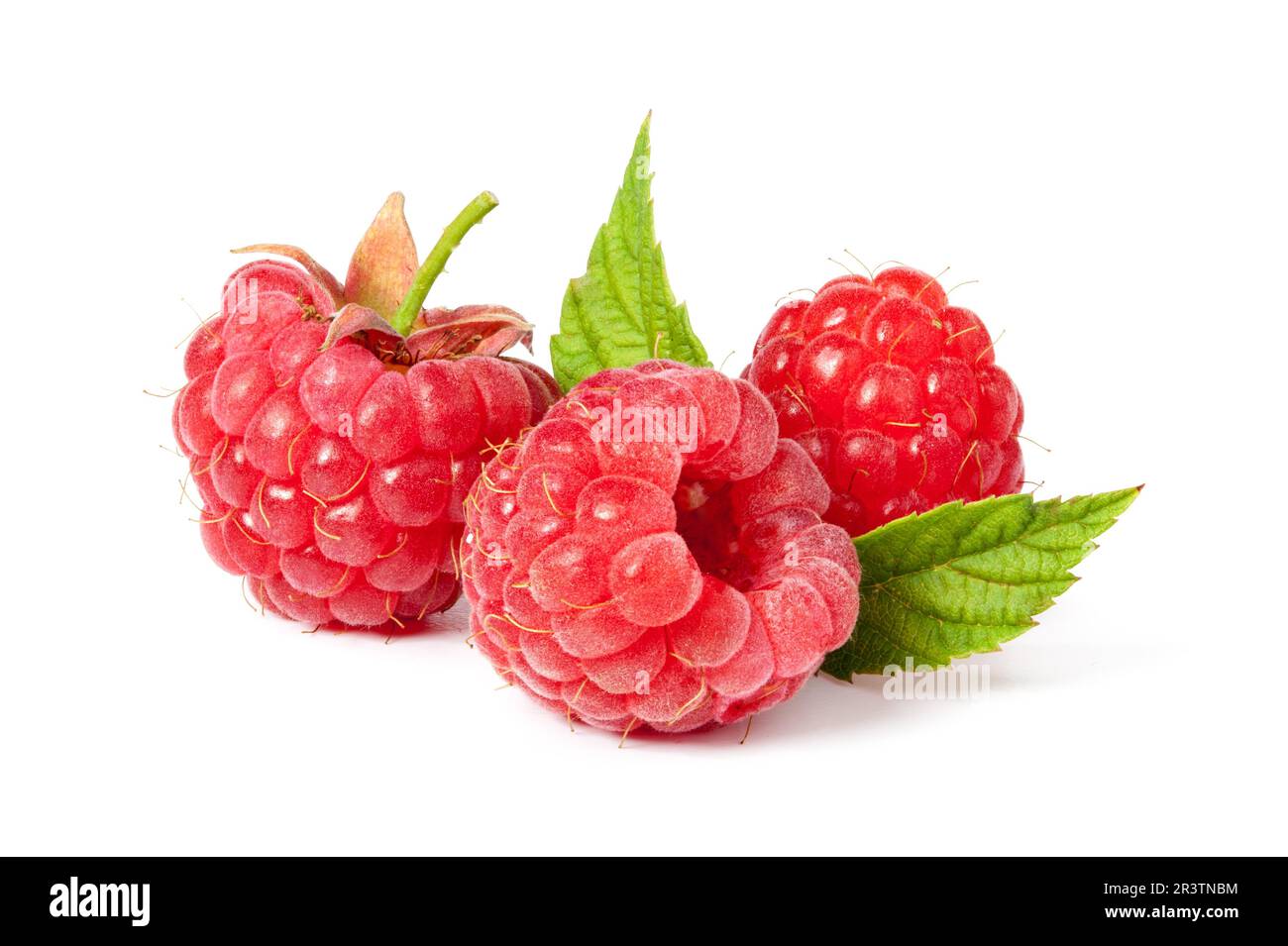 Framboise fraîche sur fond blanc Banque D'Images