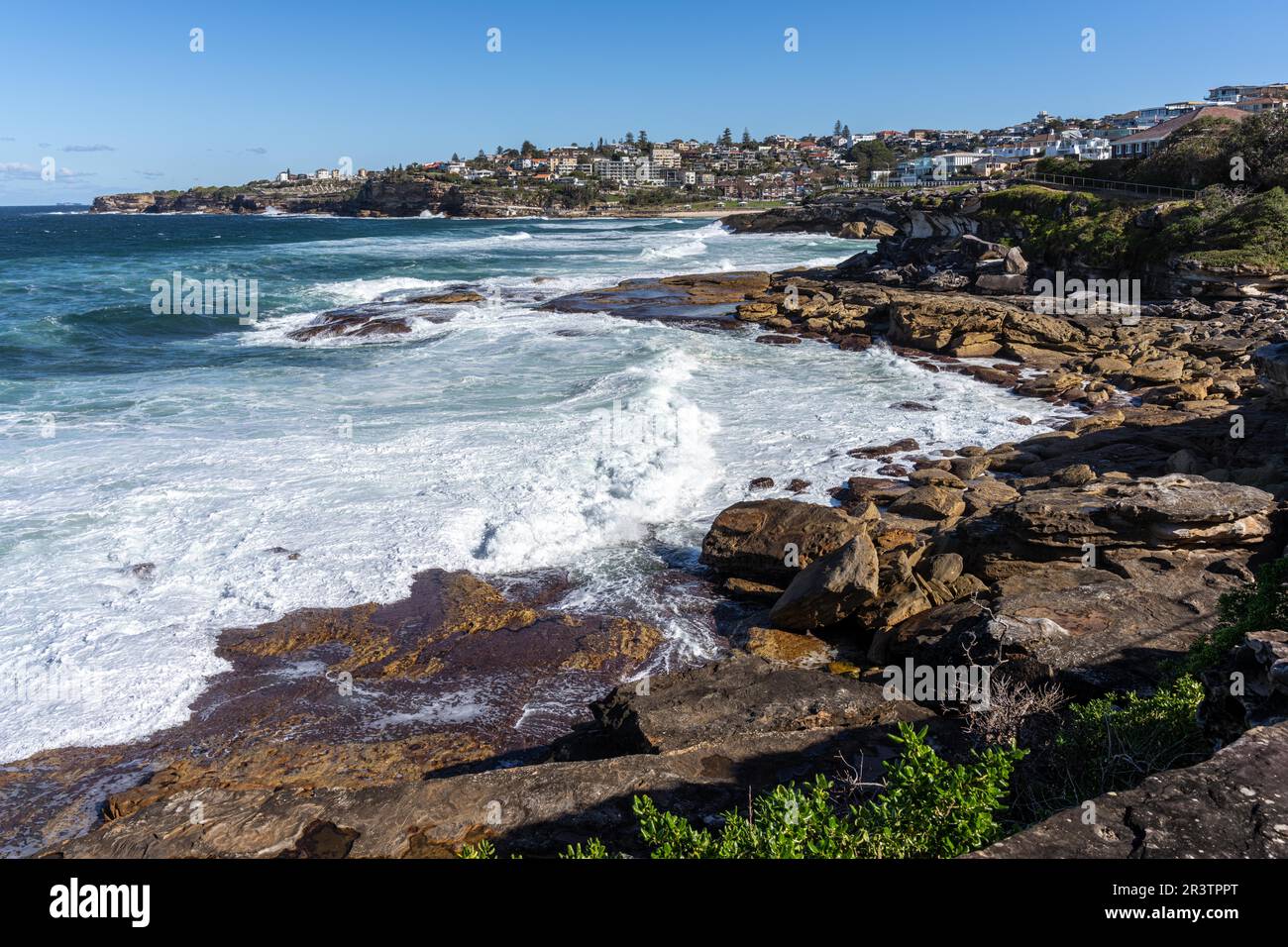 Tamarama point, de Bondi à Bronte Coastal Walk, Sydney Nouvelle-Galles du Sud, Australie Banque D'Images