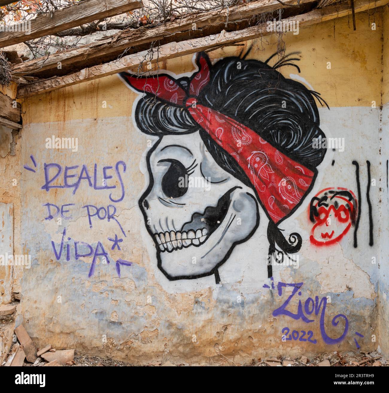 Lieu perdu, graffiti aux têtes de mort, ruines d'une fabrique de sucre, Fabrica de Maro, Nerja, Espagne Banque D'Images