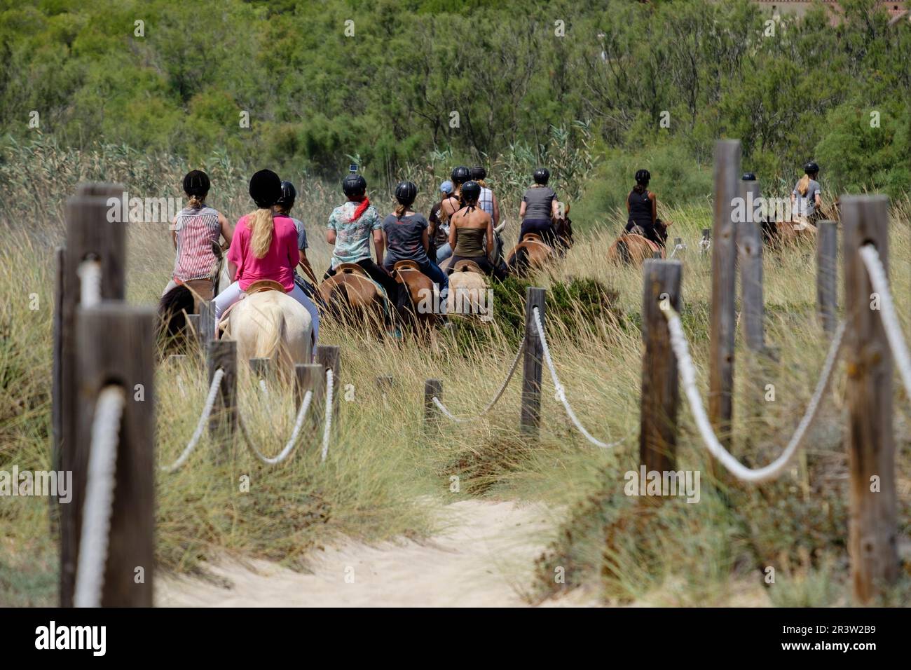 Équitation dans les dunes Banque D'Images