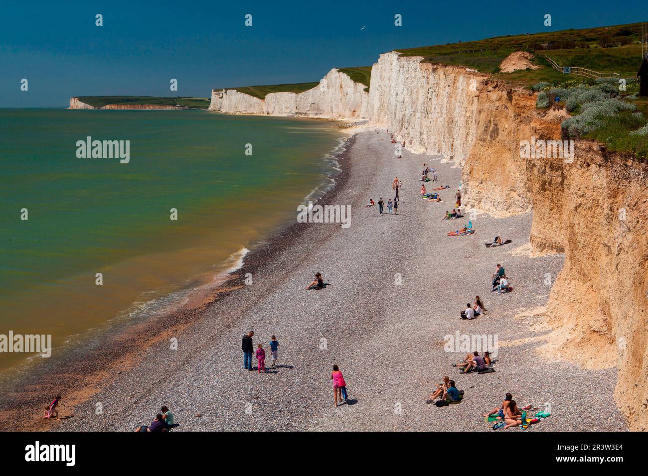 Falaises de craie, Seven Sisters, Seaford, Sussex, Angleterre, Royaume-Uni Banque D'Images