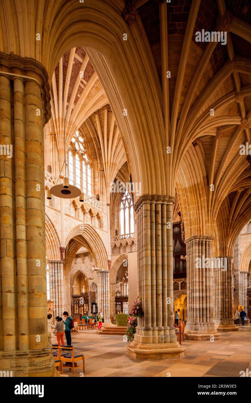 Cathedral, Exeter, Devon, Angleterre, Royaume-Uni Banque D'Images