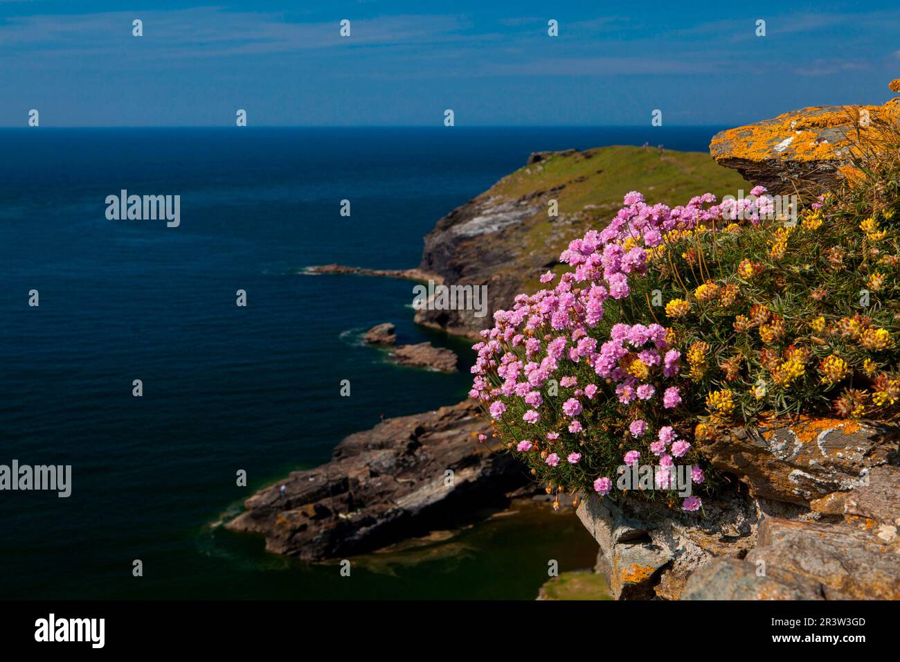 Château, Tintagel, Cornouailles, Angleterre, Royaume-Uni Banque D'Images