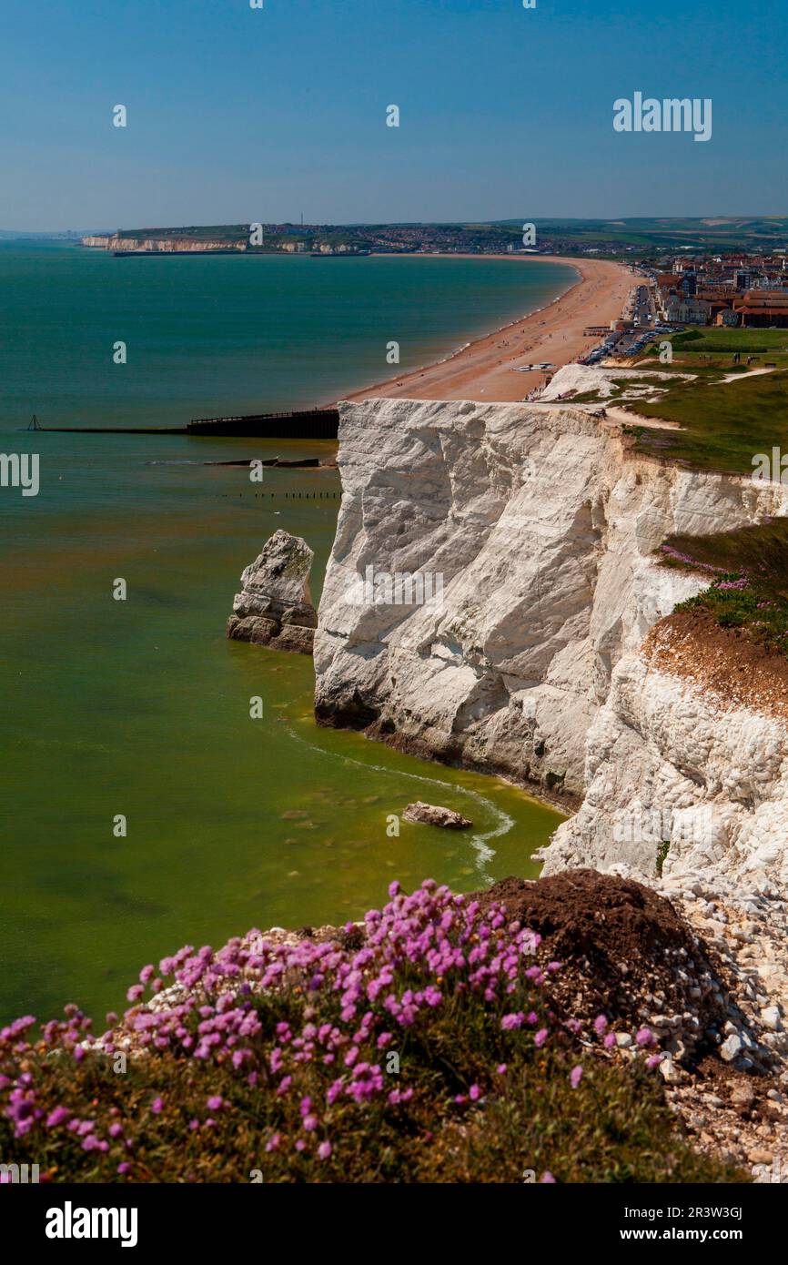 Falaises de craie, Seven Sisters, Seaford, Sussex, Angleterre, Royaume-Uni Banque D'Images