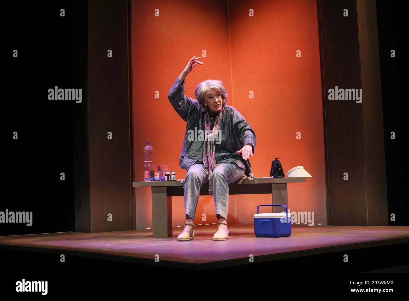 Dame Maureen Lipman prend part à une photocall pour son spectacle d'une femme « Rose » au Théâtre de l'Ambassadeur à Londres Banque D'Images