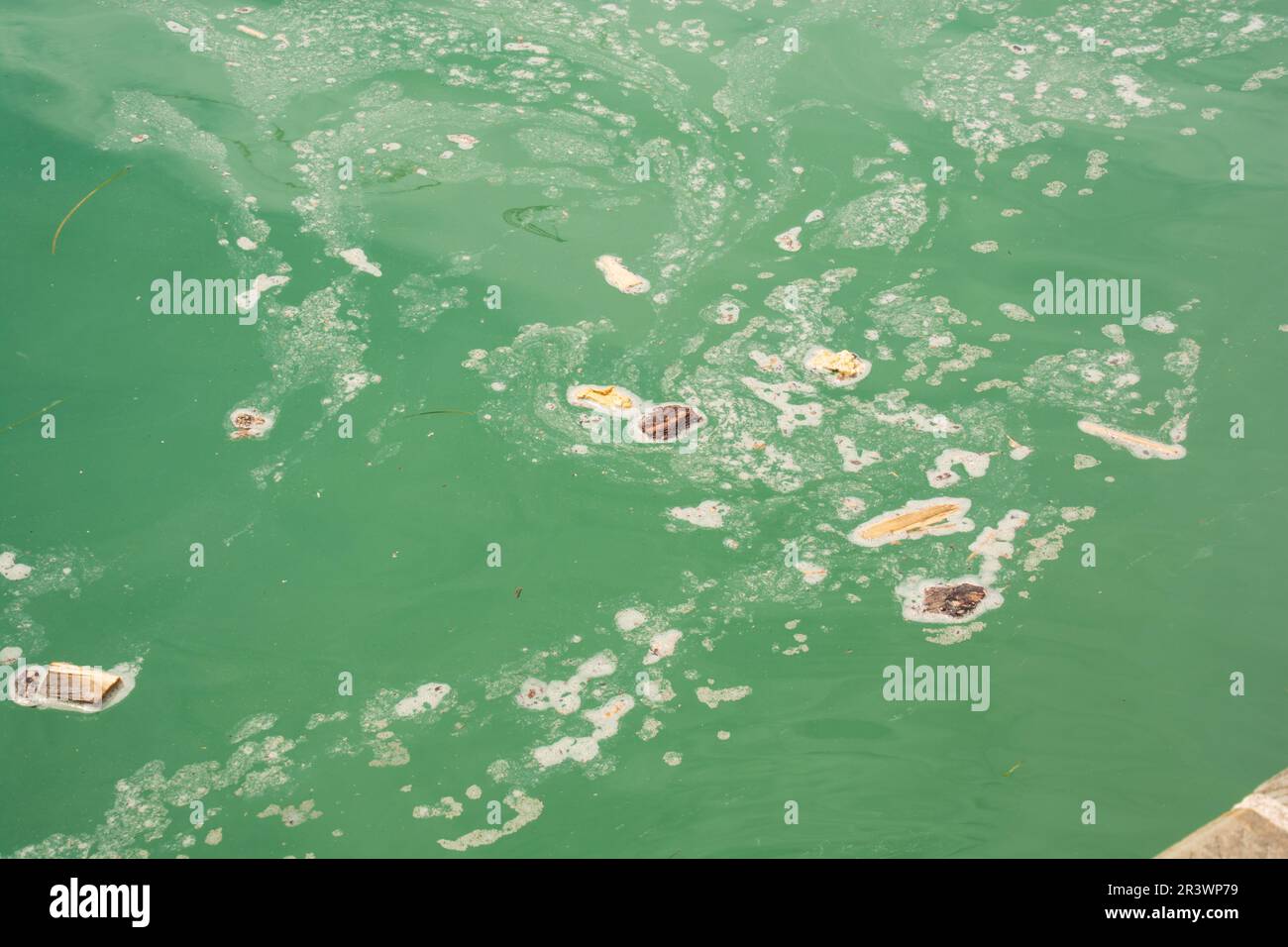 eau de mer polluée dans un port méditerranéen Banque D'Images