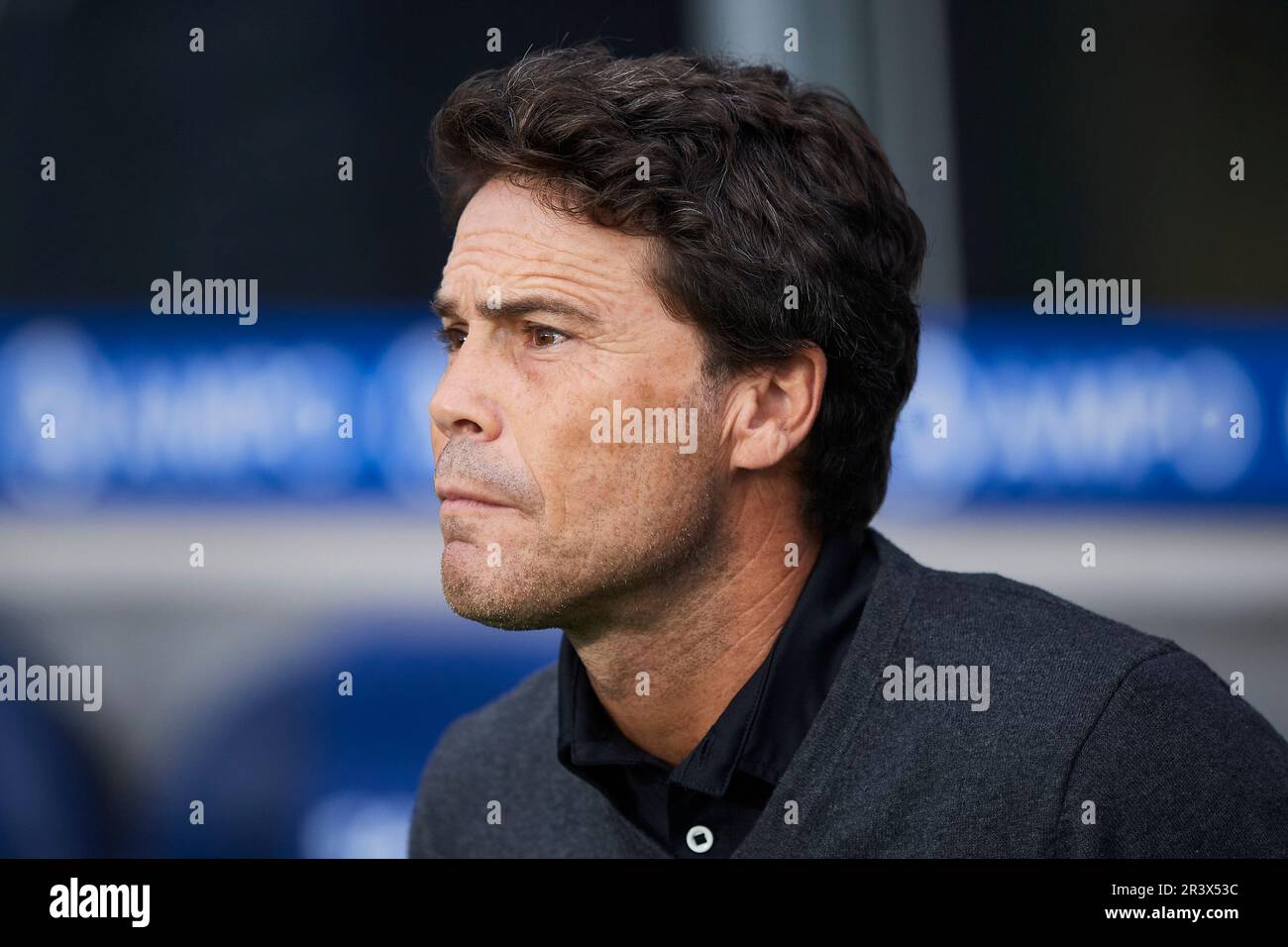 L'entraîneur chef de UD Almeria Joan Francesc Ferrer Rubi regarde pendant le match de la Liga Santander entre Real Sociedad et UD Almeria au stade Reale Arena o Banque D'Images