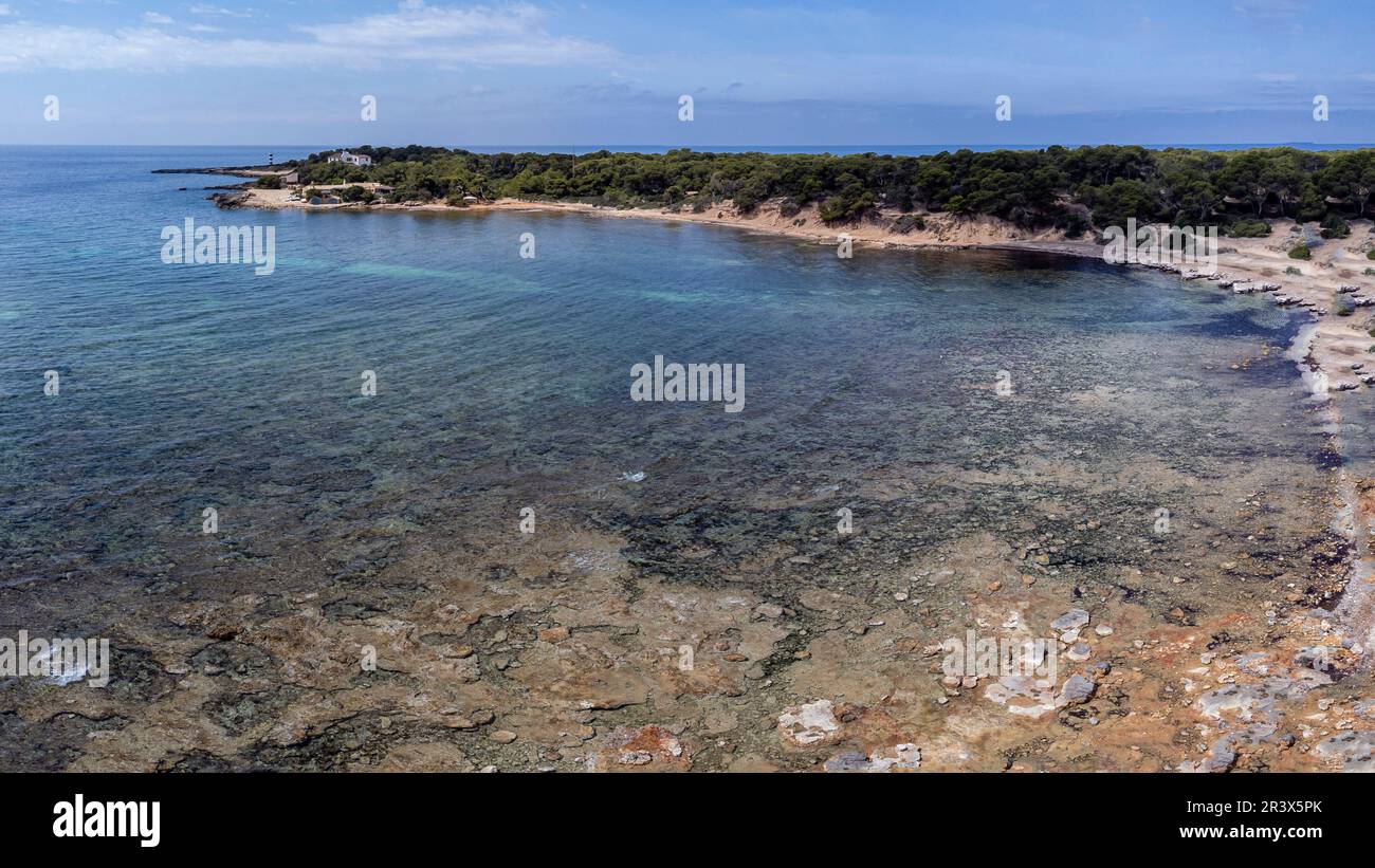 Plage de Raco de s Arena, Estanyol, Llucmajor, Majorque, Iles Baléares, Espagne. Banque D'Images