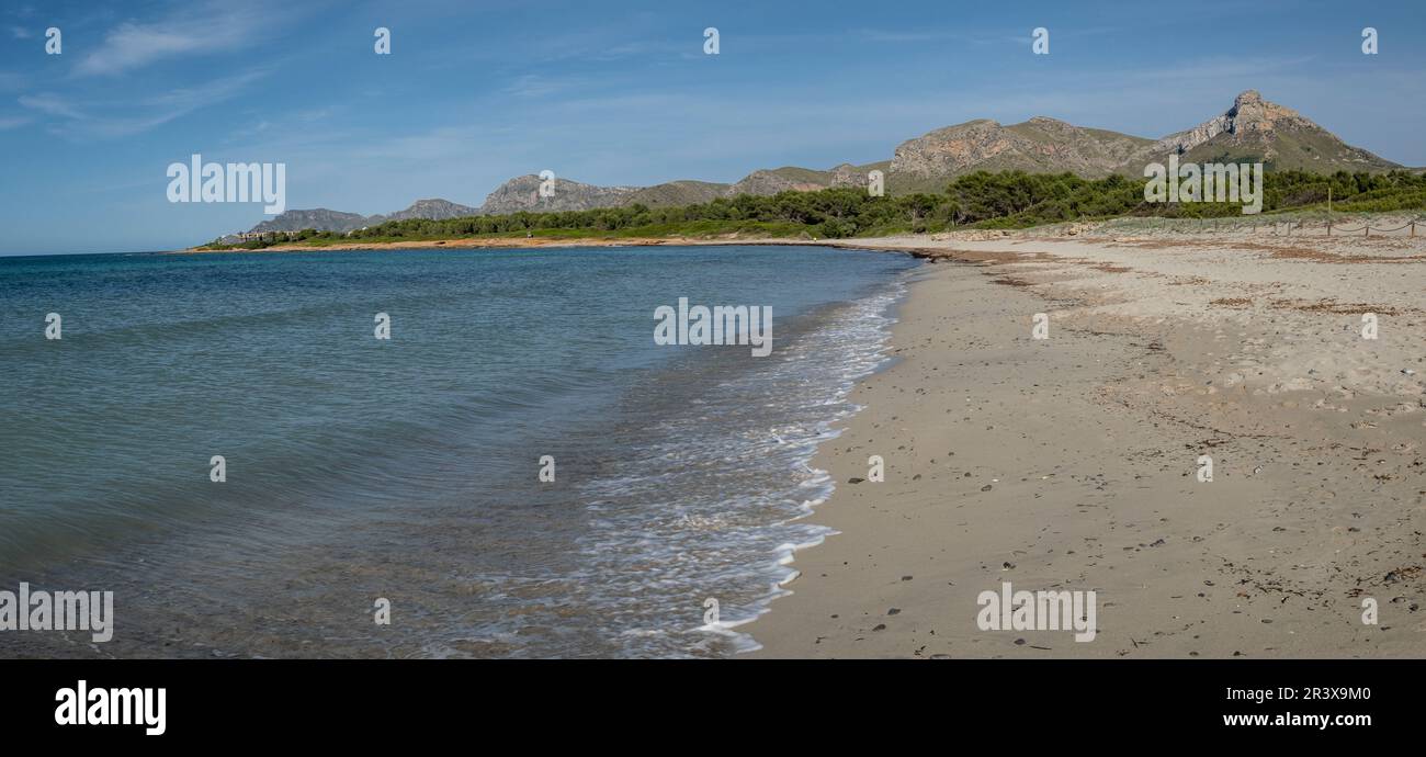 Arenal de sa Canova, Artà - Santa Margalida, zone naturelle d'intérêt particulier, Majorque, Iles Baléares, Espagne. Banque D'Images