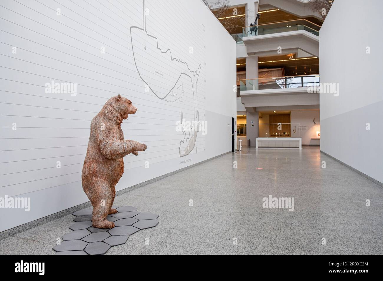 Museo de la evolución humana, MEH, Burgos , Espagne. Banque D'Images