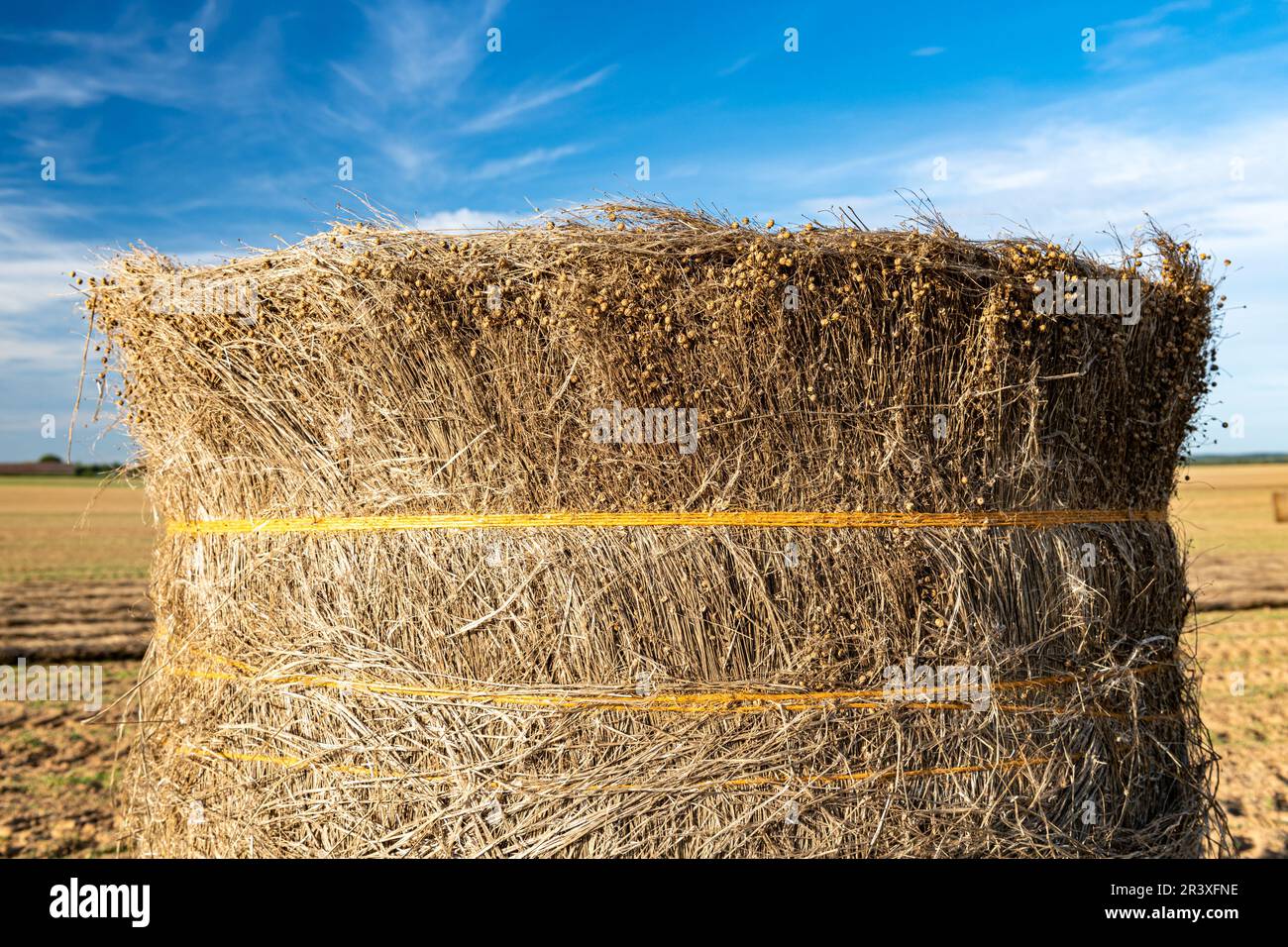 Culture de graines de lin à Cottevrard (Normandie, Nord de la France) :  balles de lin dans un champ, enroulement de lin, balles liées après récolte  de lin et avant scutchi Photo