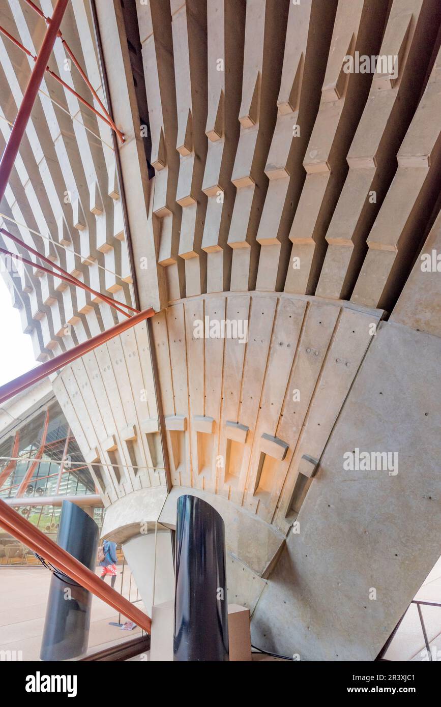 Vue rapprochée de l'un des murs intérieurs de la coquille géante, comme les structures de l'Opéra de Sydney. Les repères de construction d'origine sont visibles Banque D'Images
