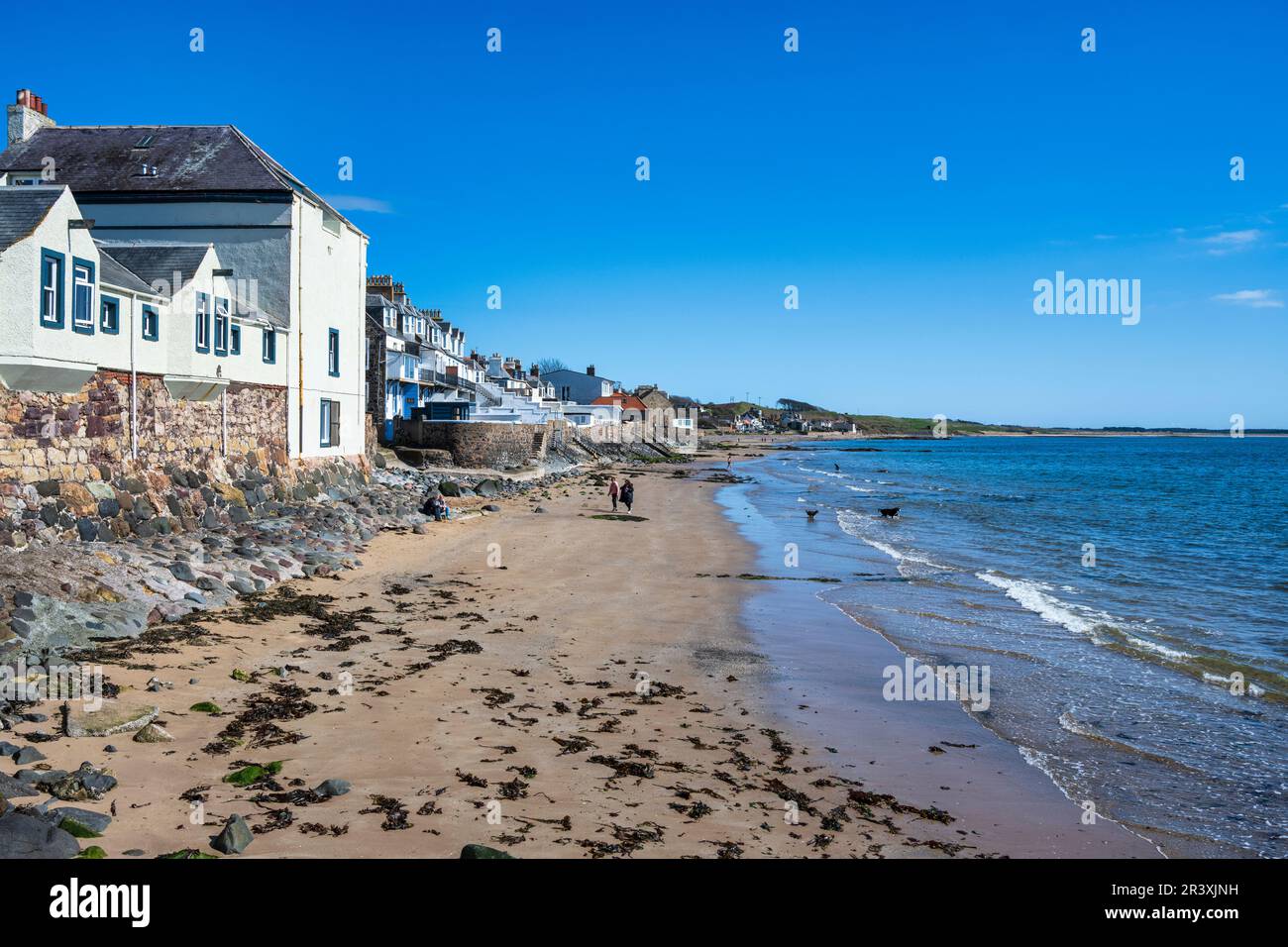 Vue vers le nord le long de la plage de sable dans la ville côtière écossaise de Lower Largo à Fife, Écosse, Royaume-Uni Banque D'Images