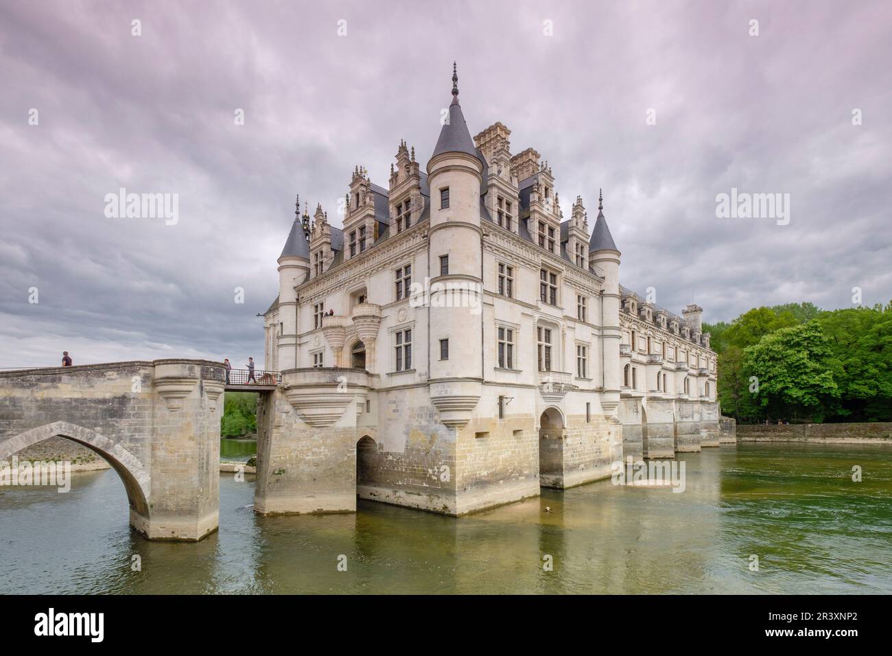Le château de Chenonceau, siglo XVI, Chenonceaux, Departamento de Indre y Loira,France,Europe de l'Ouest. Banque D'Images